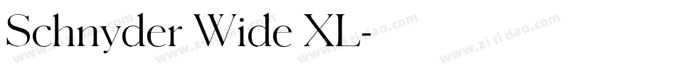 Schnyder Wide XL字体转换